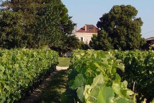 Domaine De Quittignan Brillette Hotel Moulis-en-Medoc Exterior photo